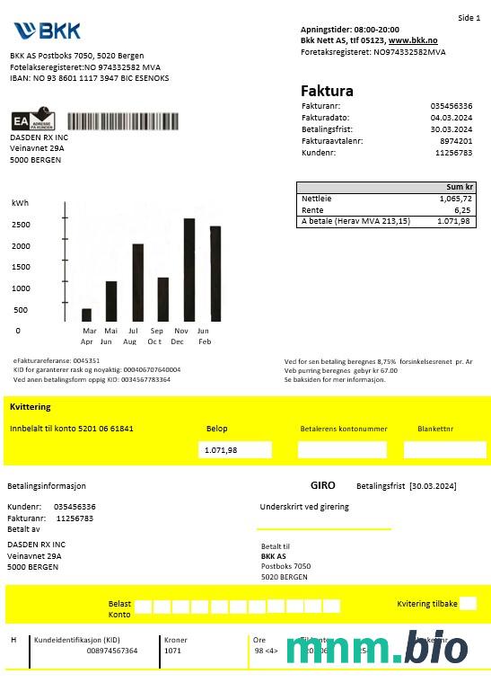 Norwegia BKK electricity rachunek za usługi komunalne szablon w formacie Word i PDF, dobre dla adresu udowodnić